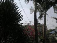 post-37242-0-39803600-1360225500_thumb.j