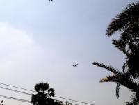 post-37242-0-62581100-1360219177_thumb.j