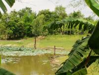 post-52957-0-05507100-1361702167_thumb.j