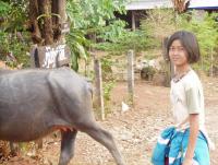 post-52957-0-07719400-1361179834_thumb.j