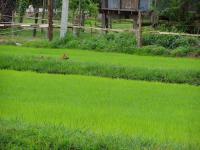 post-52957-0-11325900-1361702232_thumb.j