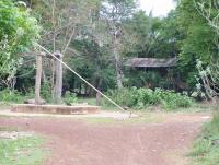 post-52957-0-34324700-1361702217_thumb.j