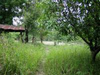 post-52957-0-35054000-1361702186_thumb.j