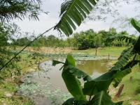 post-52957-0-38336000-1361702157_thumb.j