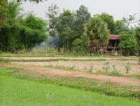 post-52957-0-48662700-1361702207_thumb.j