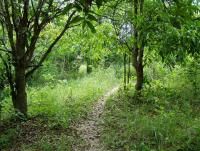 post-52957-0-53594600-1361702176_thumb.j