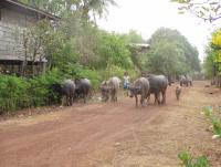 post-52957-0-63003500-1361179652_thumb.j