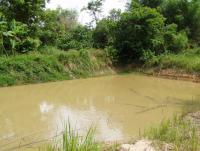 post-52957-0-75164700-1361702147_thumb.j