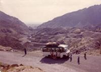 post-58423-0-94112000-1361704074_thumb.j