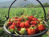 post-60959-0-08401200-1361801967_thumb.j