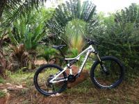 post-70768-0-11155000-1359704848_thumb.j