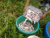 post-70928-0-30848600-1361008014_thumb.j