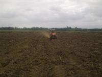 post-70928-0-32993500-1360493948_thumb.j