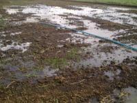 post-70928-0-35990400-1360959909_thumb.j