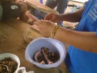 post-70928-0-45466500-1360340003_thumb.j