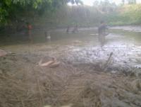 post-70928-0-50594000-1361010046_thumb.j