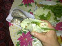 post-70928-0-72661200-1360446582_thumb.j