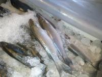 post-70928-0-77936400-1360434403_thumb.j