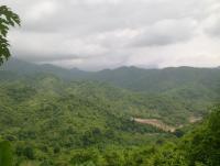 post-70928-0-96874900-1360351187_thumb.j