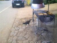 post-70928-0-99675700-1360350867_thumb.j