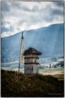 post-107798-0-41933900-1391239953_thumb.