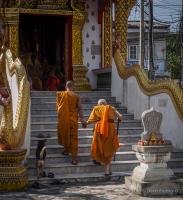 post-107798-0-54060700-1392724667_thumb.