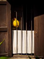 post-107798-0-80007900-1391787292_thumb.