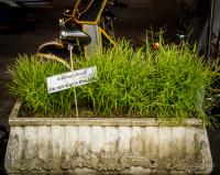 post-107798-0-92129000-1393084358_thumb.