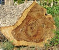 post-12069-0-00272600-1392982142_thumb.j