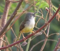 post-12069-0-22038500-1391779500_thumb.j