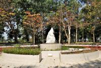 post-12069-0-33036200-1392520477_thumb.j