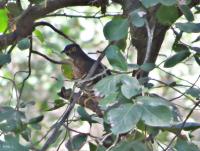 post-12069-0-43579600-1391237762_thumb.j