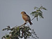 post-12069-0-46207000-1391232228_thumb.j