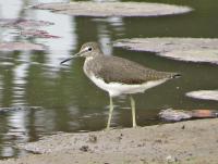 post-12069-0-66253100-1392014413_thumb.j