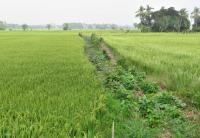 post-12069-0-75947100-1392702119_thumb.j