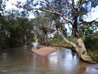 post-12069-0-89857100-1393504356_thumb.j