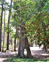 post-12069-0-90307000-1392089706_thumb.j