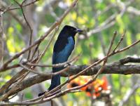 post-12069-0-94317400-1391582866_thumb.j