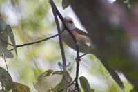 post-128422-0-75526400-1391401393_thumb.