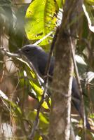 post-128422-0-79466200-1391401378_thumb.