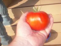 post-137554-0-50839200-1392638187_thumb.