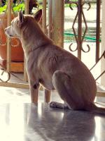 post-146250-0-04677900-1391574672_thumb.