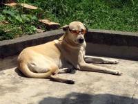 post-146250-0-04949400-1391574686_thumb.