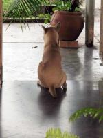 post-146250-0-33917500-1391574661_thumb.