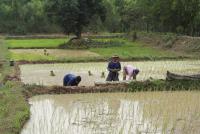 post-151649-0-13924400-1392510900_thumb.