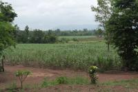 post-151649-0-19143400-1392511374_thumb.