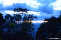 post-153732-0-38106800-1391585120_thumb.