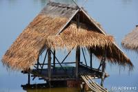 post-153732-0-43316300-1391956617_thumb.