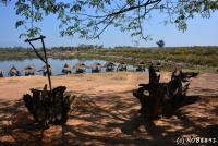 post-153732-0-47940400-1391956611_thumb.