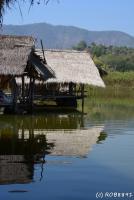 post-153732-0-73560900-1391956619_thumb.